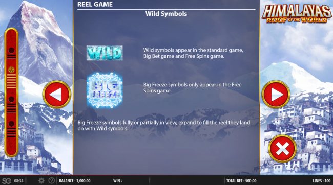 Wild Symbol Rules