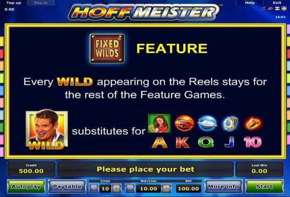 Fixed Wilds Feature - Every wild appearing on the reels stays for the rest of the feature games.