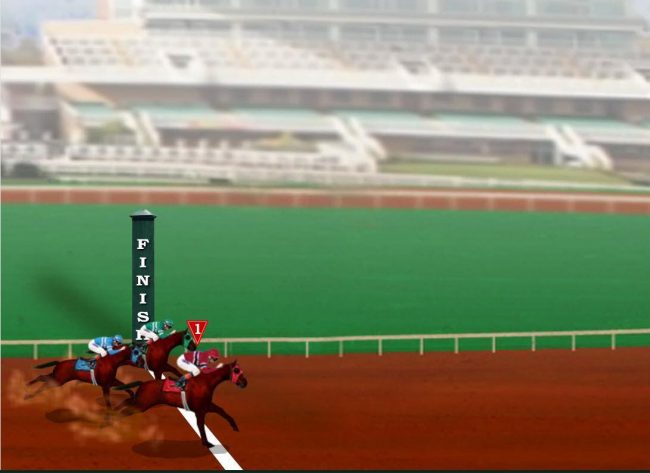 The selected horse wins by a nose.