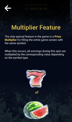 Multiplier Feature