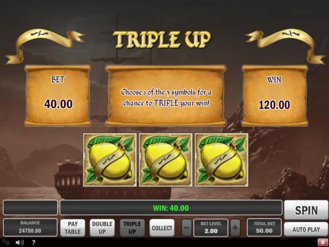 Triple Up Gamble Feature Rules