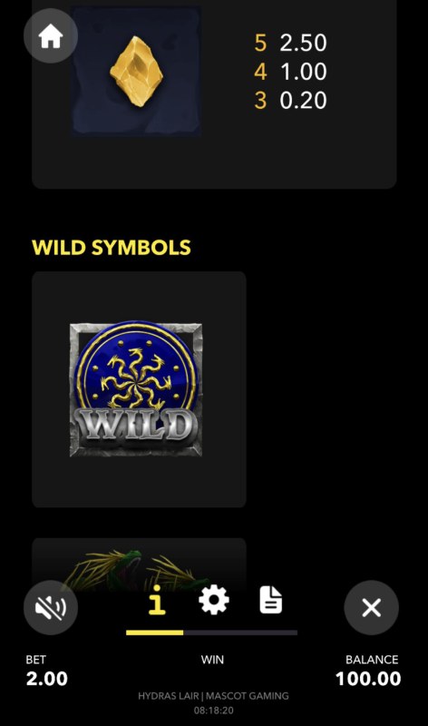 Wild Symbol