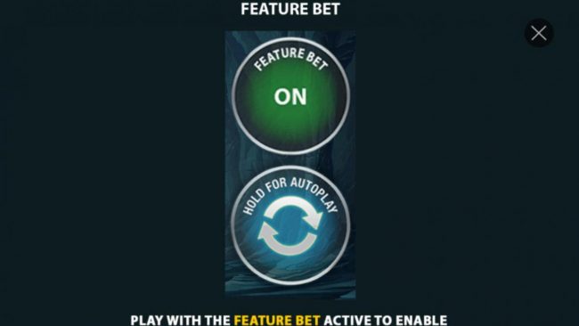 Feature Bet is optional and cost an additional 1,5x your total bet.