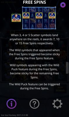 Free Spin Feature Rules