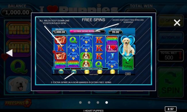 Free Spins Rules