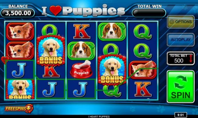 Three bonus symbols anywhere on the reels triggers free spins feature