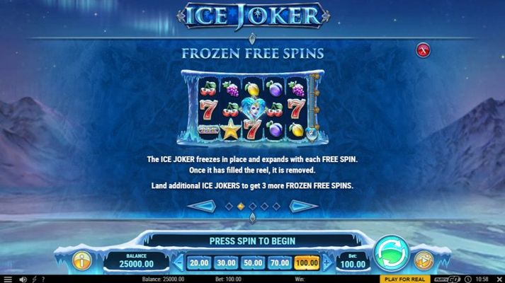 Free Spin Feature Rules