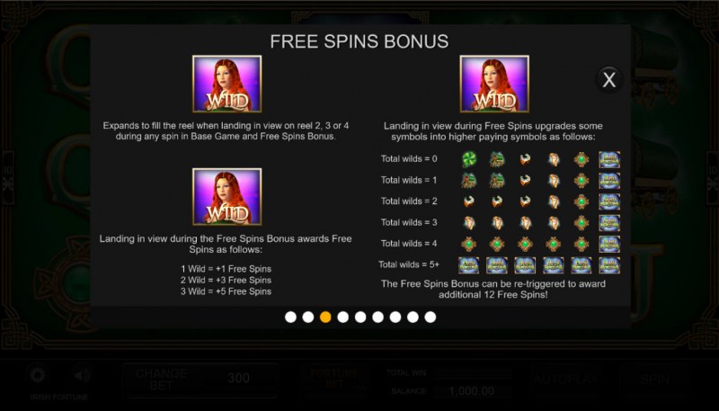 Irish Fortune :: Free Spin Feature Rules