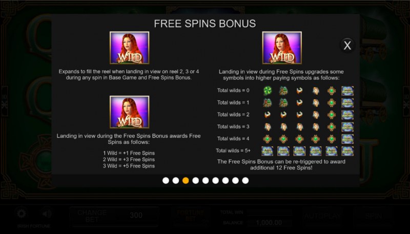 Free Spin Feature Rules