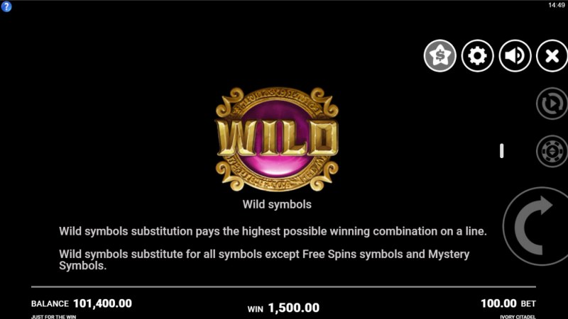 Wild Symbol Rules