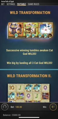 Wild Transformation