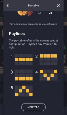 Paylines 1-5