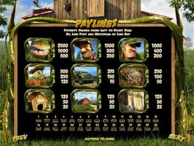 slot game symbols paytable and payline diagrams