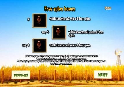 free spins bonus rules - the bonus game starts when you see 3 or more bonus symbols on the screen (scattered).