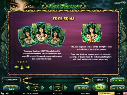 Free Spins - Three Jade Magician scatter symbols on reels 1, 3 and 5 activates the Free Spin feature with 5 free spins. The Jade Magician acts as a Wild during the free spins and substitutes for all other symbols.
