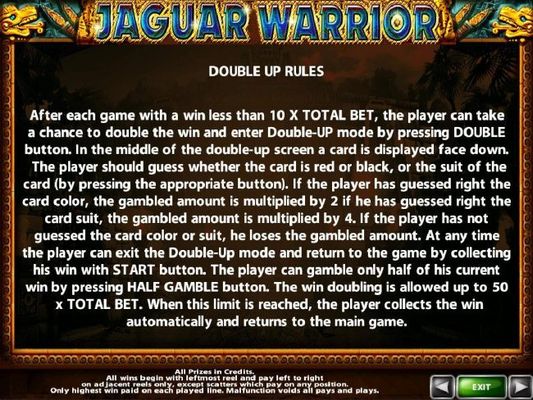 Double Up Gamble Feature Rules