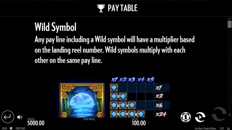 Wild Symbol Rules