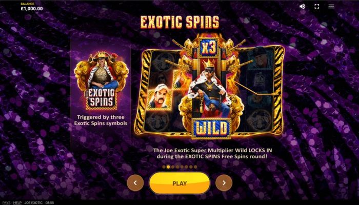 Exotic Spins