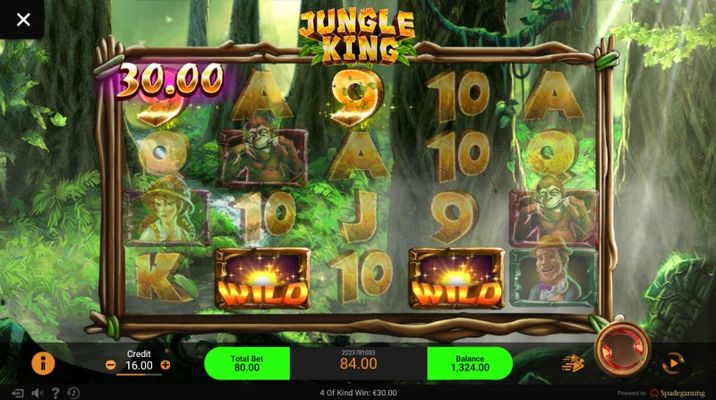 Jungle King :: Three of a kind