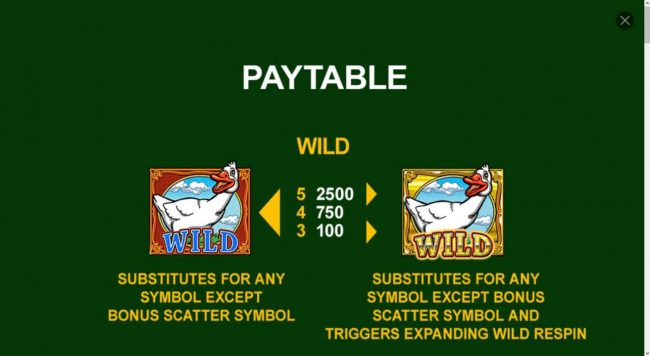 Wild Symbol Rules