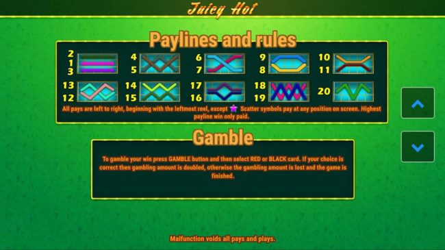 Paylines 1-20 and Rules, Gamble Feature Rules