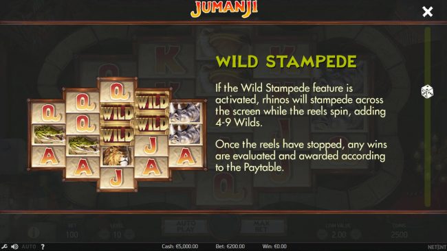 Wild Stampede