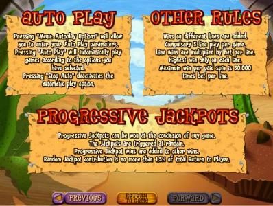 Auto Play, Progressive Jackpot and Other Rules