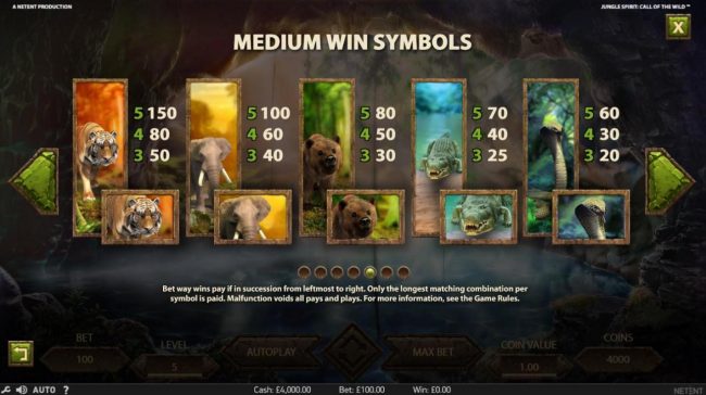 Medium Value Slot Game  Symbols Paytable.