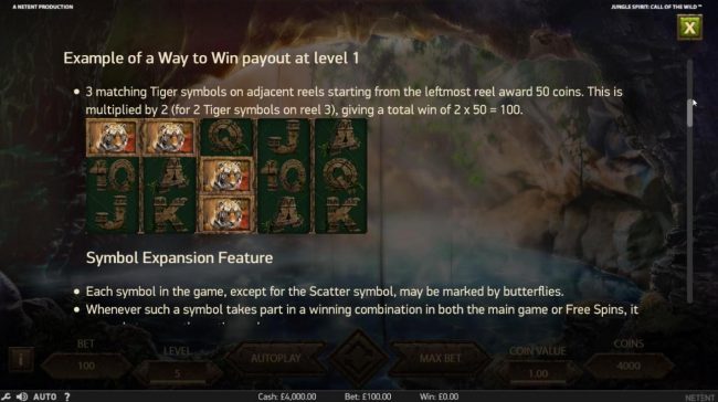 Example of a Way to Win payout at Level 1