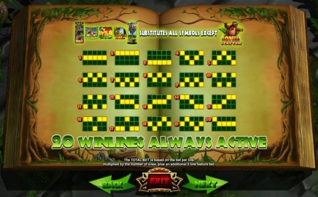 Payline Diagrams 1-20 - 20 Winlines always active.