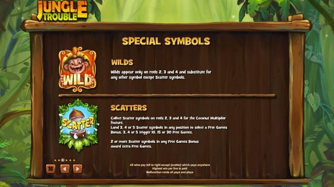 Wild and Scatter Symbol Rules