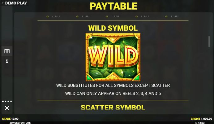 Wild Symbol