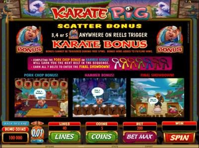 3 or more scatter bonus symbols anywhere on reels triggers karate bonus
