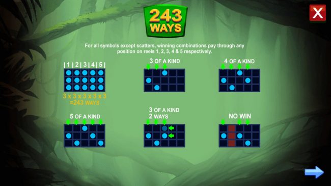 243 Ways to Win