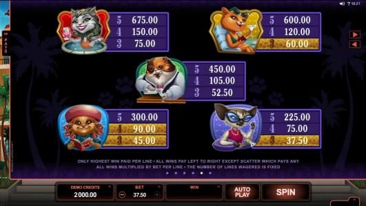 High value slot game symbols paytable