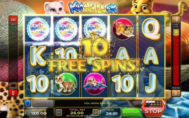 Three scatter symbols awards 10 free spins.