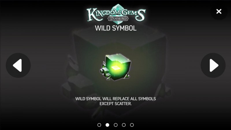 Wild Symbols Rules