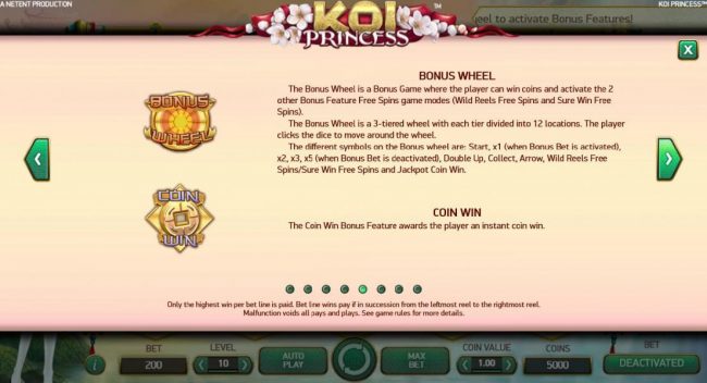 Bonus Wheel and Coin Win game rules
