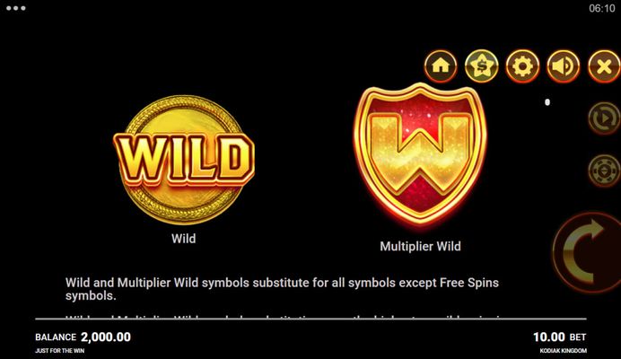 Wild Symbol