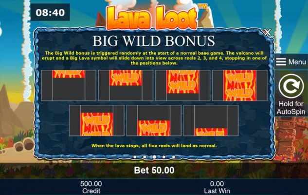 Big Wild Bonus Rules