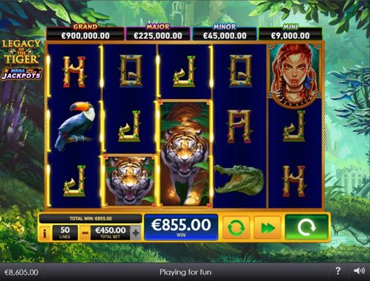 Multiple winning paylines