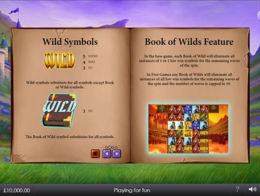 Wild Symbol Rules