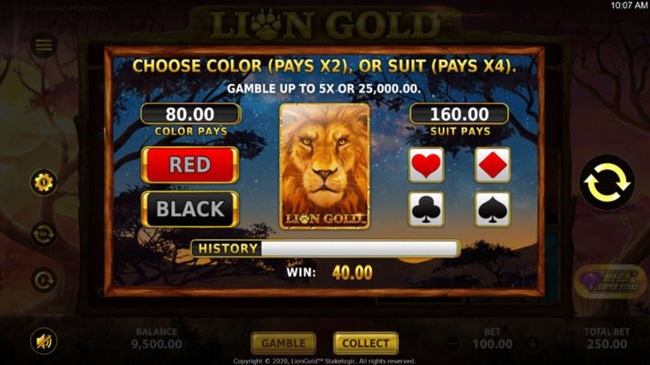 Lion Gold :: Gamble feature available after every win