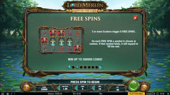 Free Spin Feature Rules