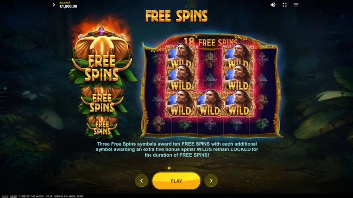 Free Spin Feature Rules