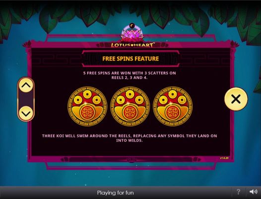 Free Spin Feature Rules