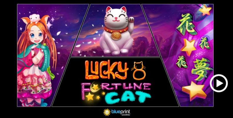 Lucky 8 Fortune Cat :: Introduction