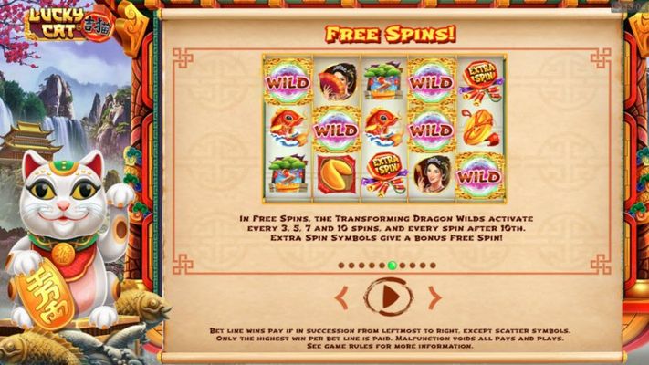 Free Spins Rules