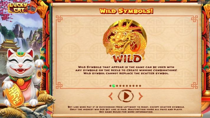 Wild Symbol Rules