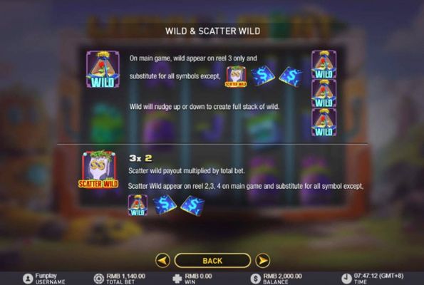 Wild and Scatter Rules